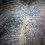 Pretty Darn Interesting: Gray Hair Can Return to Its Original Color…